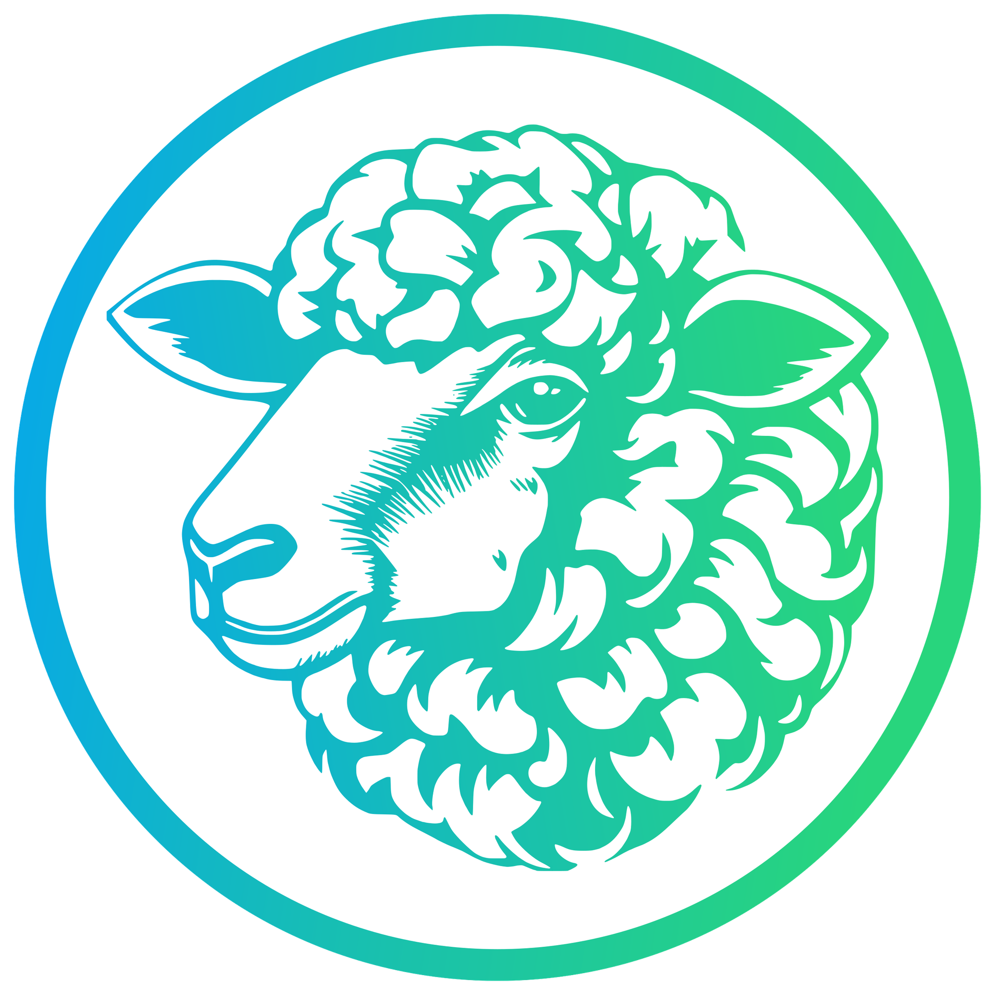 Sheep
