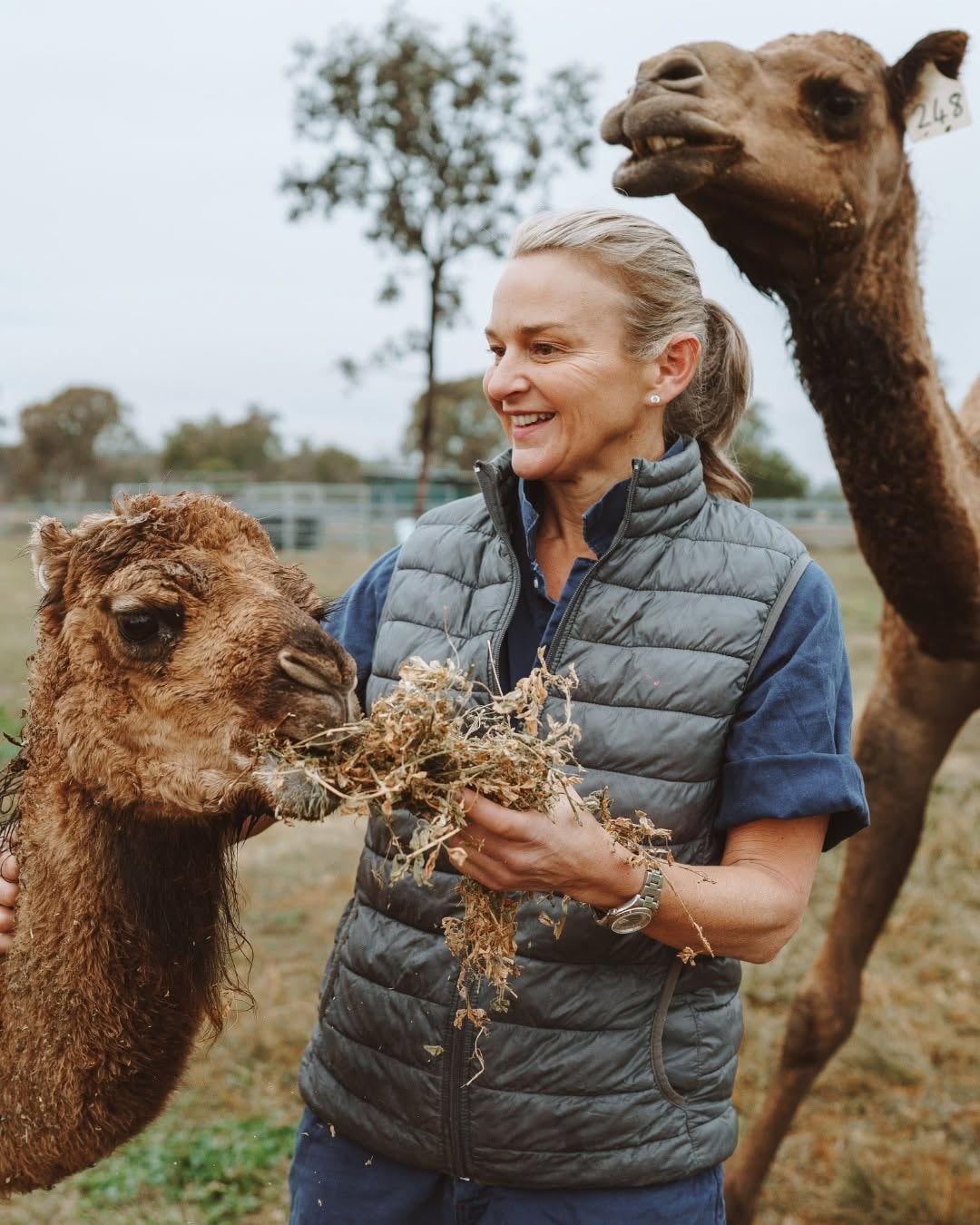 Dr. Margie Bale with camels